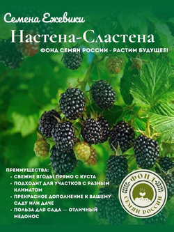 Голубика, Аврора, Семена Ягод, 0.01 гр.