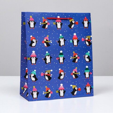 Пакет подарочный 