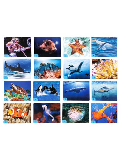 Игра настольная МЕМО "Водный мир" (32 карточки)