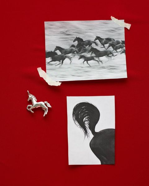 Символ 2026 года в SBLESKOM