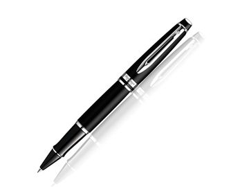 Ручка-роллер Waterman Expert S0951880