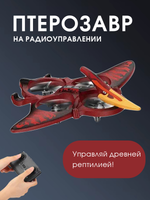 HonGWang L0713 красный | дрон-птерозавр