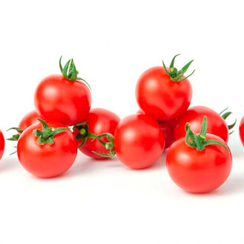 Чезаре F1 семена томата индетерминантного (Гавриш)