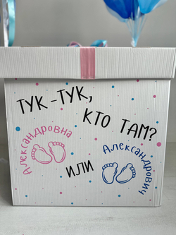 Большая коробка на Гендер Пати №4581