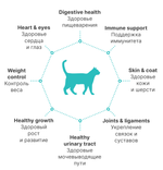 PREMIER Свежее филе лосося с индейкой для взрослых стерилизованных кошек