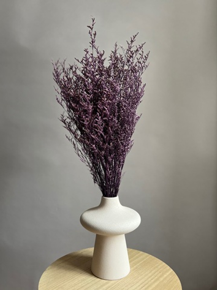 Кермек фиолетовый