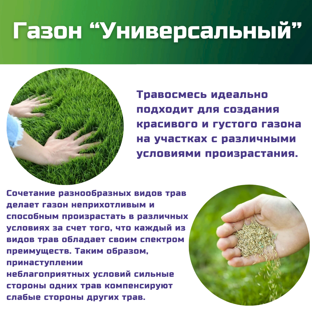 Семена газонной травы, травосмесь Универсальный газон, 1 кг/фестулолиум, овсяница луговая, райграс однолетний, тимофеевка луговая, овсяница тростниковая, райграс пастбищный/Газон Сити
