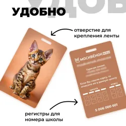 Карта Москвёнок CATS №2 (проход + питание)