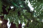 Светодинамическая елка ствольная со скамейкой, встроенная гирлянда: Холодный свет - "Лесная" (Литая хвоя) 12 м