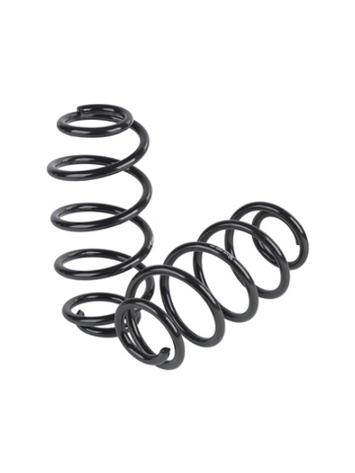 Пружина задняя L=R для CHEVROLET Aveo III (11-) GANZ GIK02650