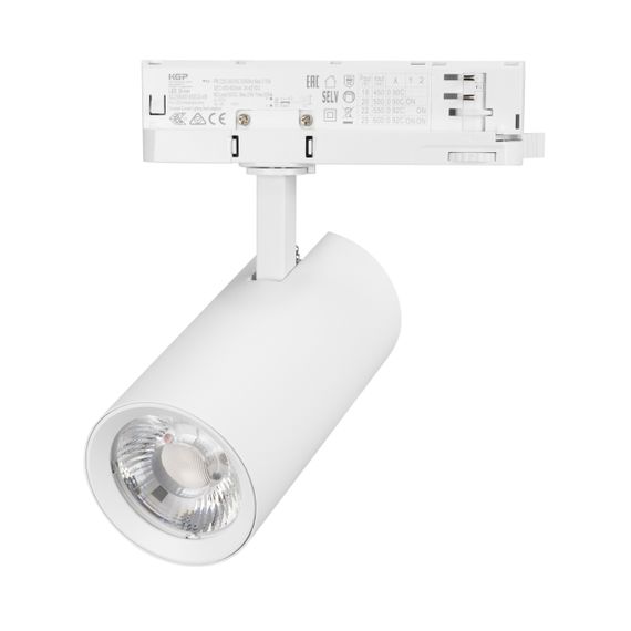 Светильник LGD-GERA-4TR-R74-20W Day4000 (WH, 36 deg, 230V) Arlight 055156