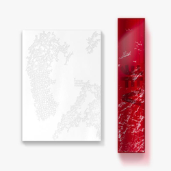 Фотобук V (BTS) - TYPE 非 (Фотобук + сет постеров)