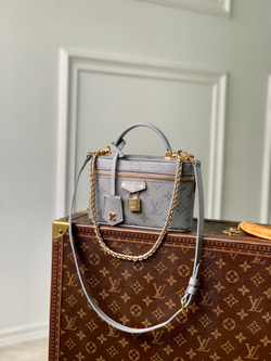 Louis Vuitton Vanity Chain Pouch