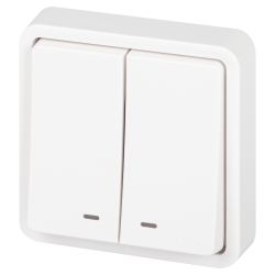 Выключатель ЭРА Эксперт 11-1525-01 двойной с подсветкой IP55 10АХ-250В СУ белый