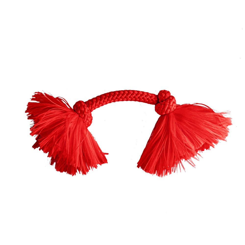 Жевательный канат Playology DRI-TECH ROPE для собак мелких пород с ароматом говядины, маленький, цвет красный Жевательный канат Playology DRI-TECH ROPE для собак мелких пород с ароматом говядины, маленький, цвет красный