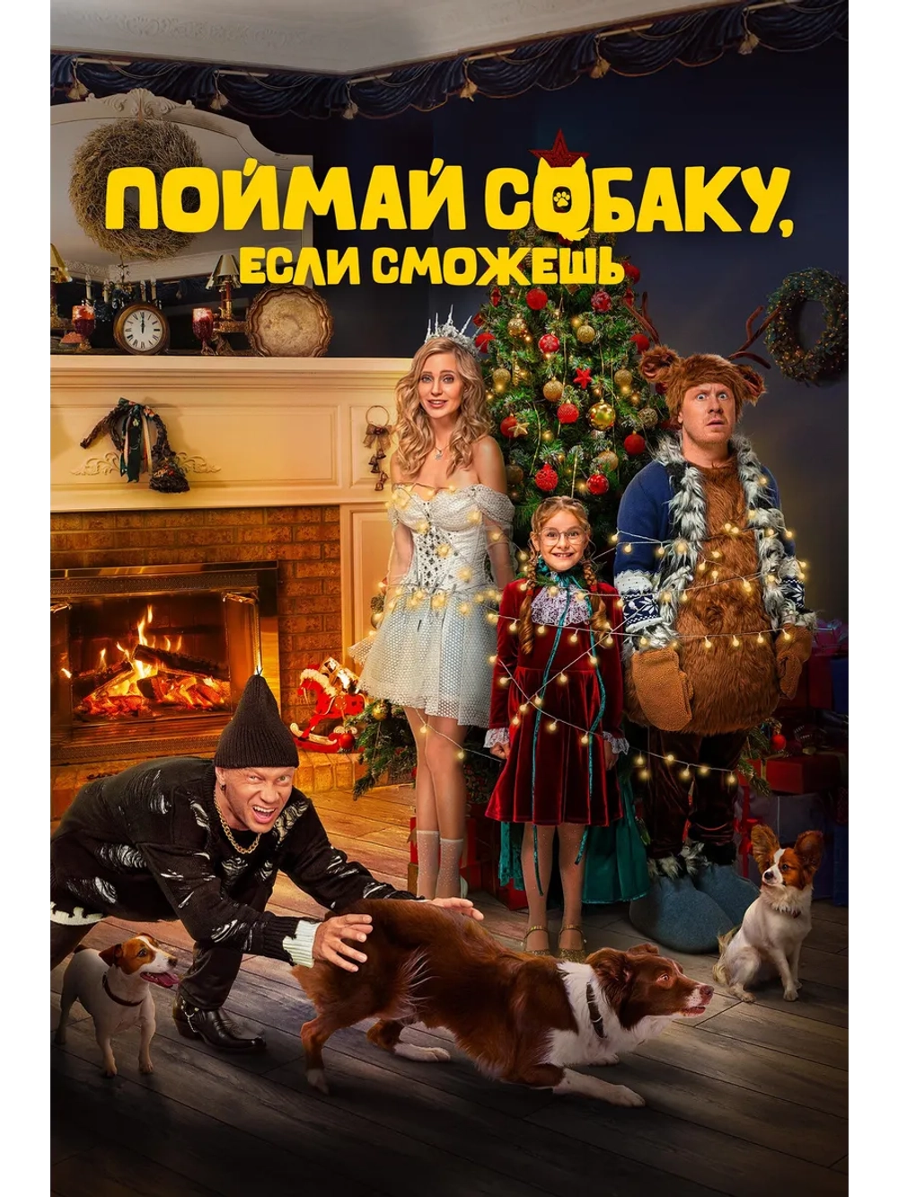 Поймай собаку, если сможешь (2024) (DVD-R)