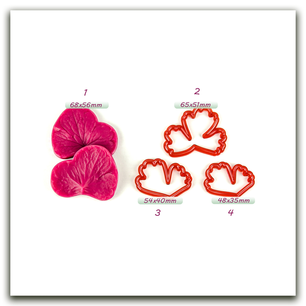 Лист аквилегии (водосбора)