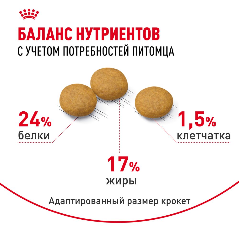 Сухой корм Royal Canin Medium Dermacomfort для взрослых собак средних размеров при раздражениях и зуде кожи Сухой корм Royal Canin Medium Dermacomfort для взрослых собак средних размеров при раздражениях и зуде кожи
