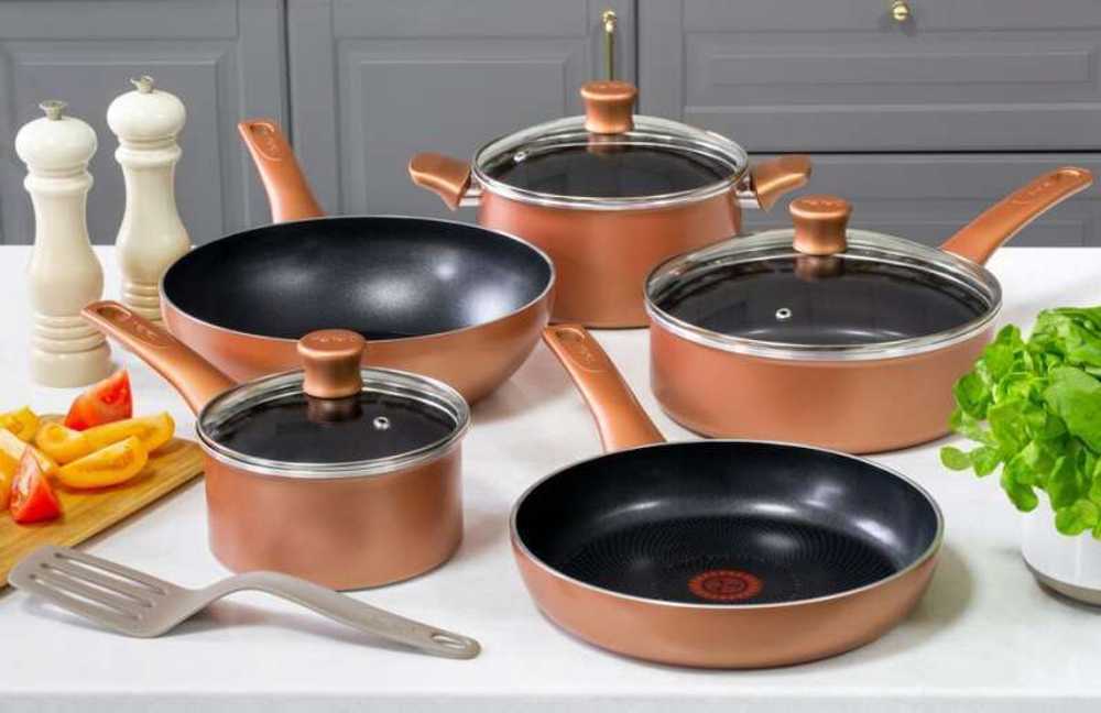 Набор сковород Tefal Performa 2 предмета 22/26 см 04190810