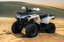 Квадроцикл SHARMAX Hummer 300