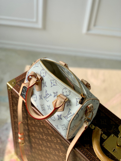 Louis Vuitton Speedy 20