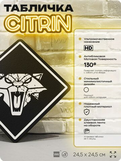 Табличка декоративная "Ведьмак, Школа Кота, Witcher " на дверь и стену, прикольная штука в подарок геймеру, декоративный знак, 24,5х24,5 см, Айдентика Технолоджи