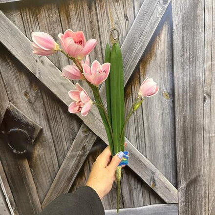 Орхидея искусственная интерьерная