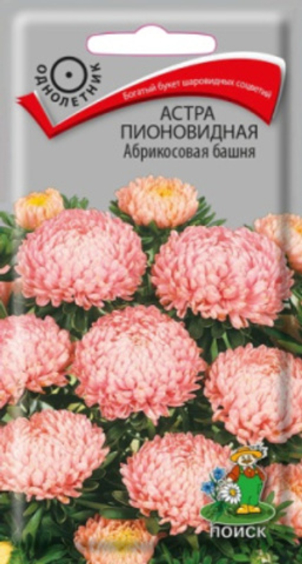 Астра Башня абрикосовая 0,3г Ц Поиск