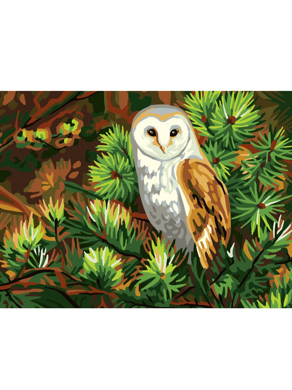 "Сова"-10518 W канва с рисунком