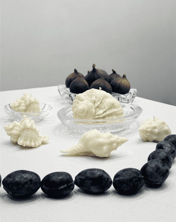 Свеча Ракушка рапана Большая Белая (Морская соль) - фото 2