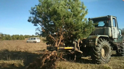 Корчеватель деревьев крокодил на Фронтальный погрузчик МКСМ