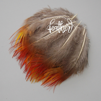 Перо фазана покровное натуральное Red Tips (20 шт)