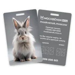 Карта Москвёнок BUNNY №7 (проход + питание)