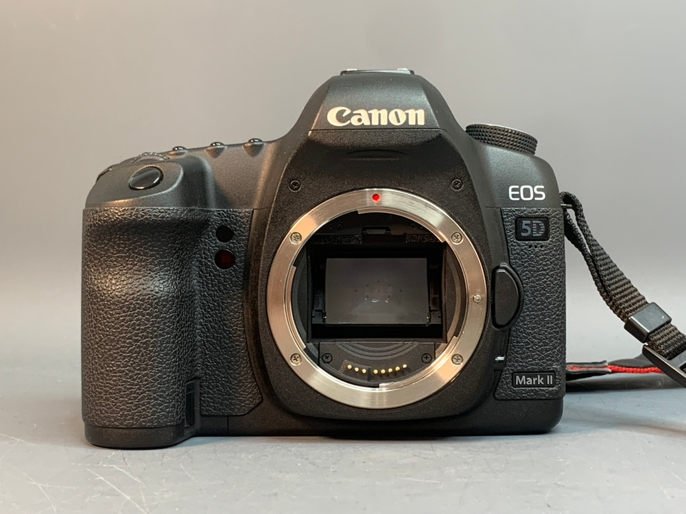 Canon EOS 5D Mark II 25.000 кадров