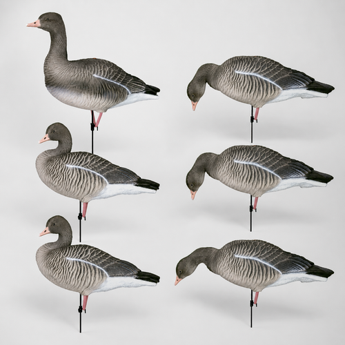 Серый гусь Duck Mania "ALFA"