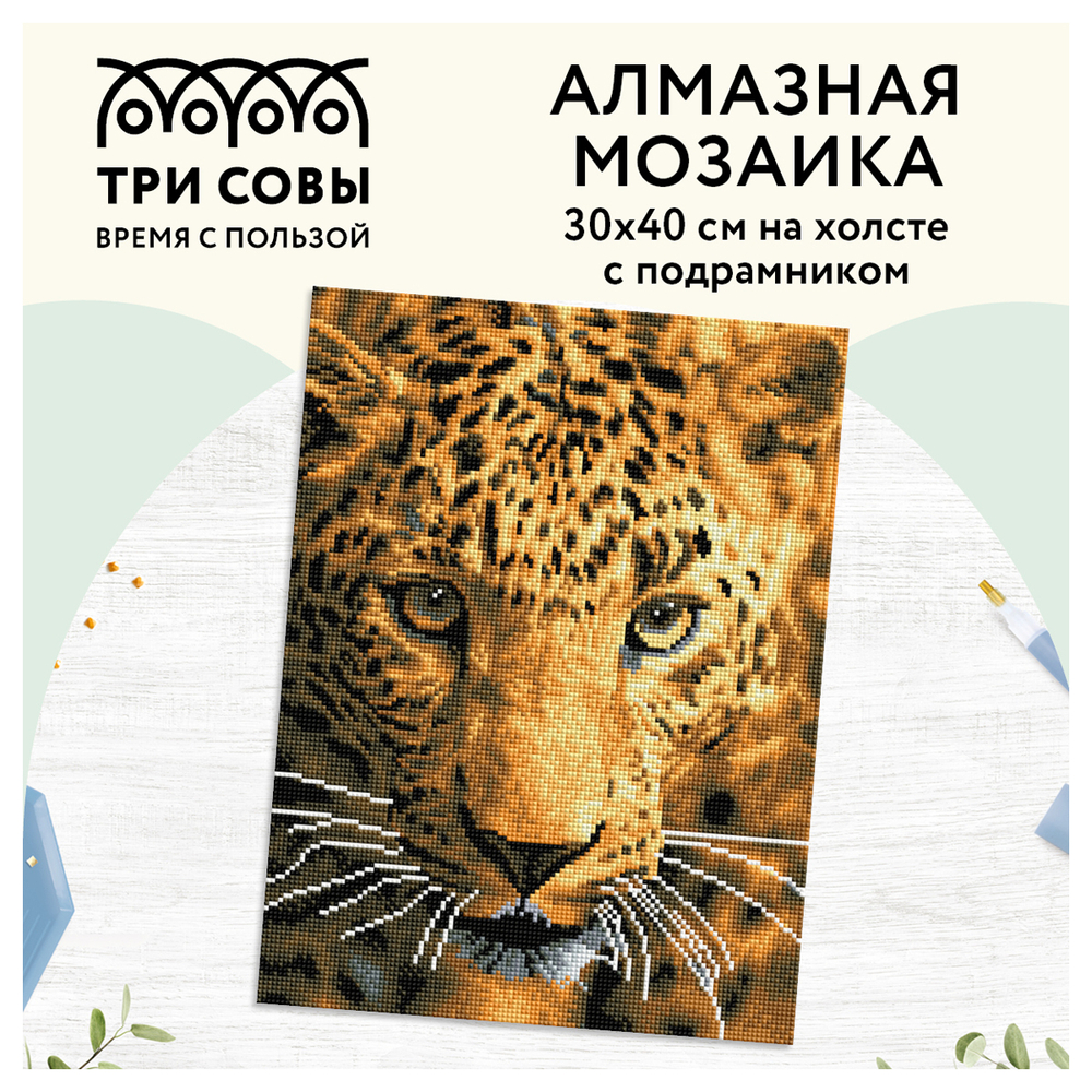 Алмазная мозаика ТРИ СОВЫ "Взгляд охотника", 30*40см, холст на деревянном подрамнике, картонная коро