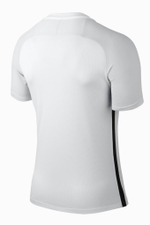 Футболка Nike Dry Revolution IV Jersey
