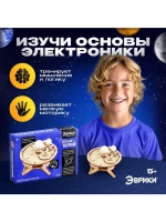 Набор для опытов «Планетарий», из дерева