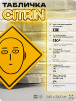 Табличка по аниме "Ванпанчмен, One Punch Man" на дверь и стену, прикольная штука в подарок анимешнику, декоративный знак, 24,5х24,5 см, пластиковая, Айдентика Технолоджи
