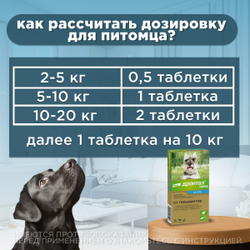 Таблетки для собак от гельминтов и лямблий со вкусом мяса Дронтал плюс, 6 таблеток в упаковке. Празиквантел/Пирантел эмбонат/Фебантел