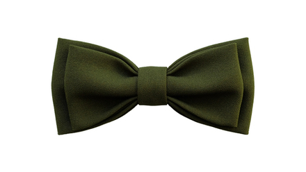 Однотонный галстук - бабочка (болотный)