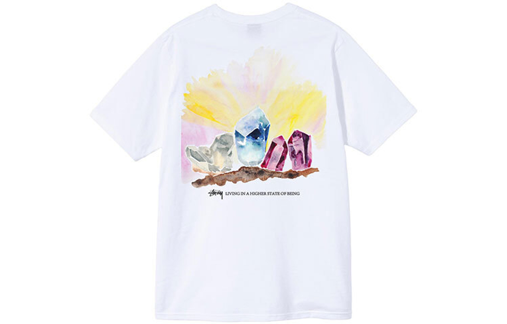 Футболки Stussy Higher State Tee T, 1904709