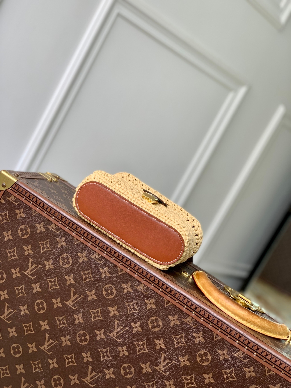 Louis Vuitton Vanity Chain Pouch