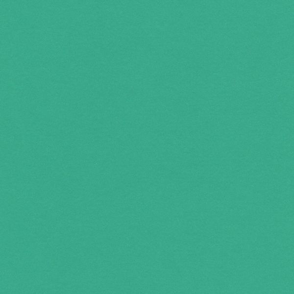 Бумага цветная 120 г/м², A4 21х29.7 см, 50 шт, 24 светло-зеленый/light green, Vista-Artista MPO-A4