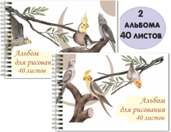 Альбом для рисования А4 80г "Птицы" 40 листов, спираль, белые листы, спайка 2 альбома