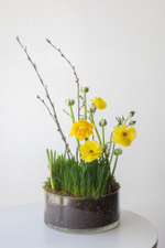 Светлая поляна