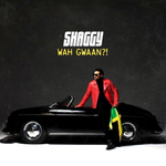 Shaggy / Wah Gwaan?! (2LP)