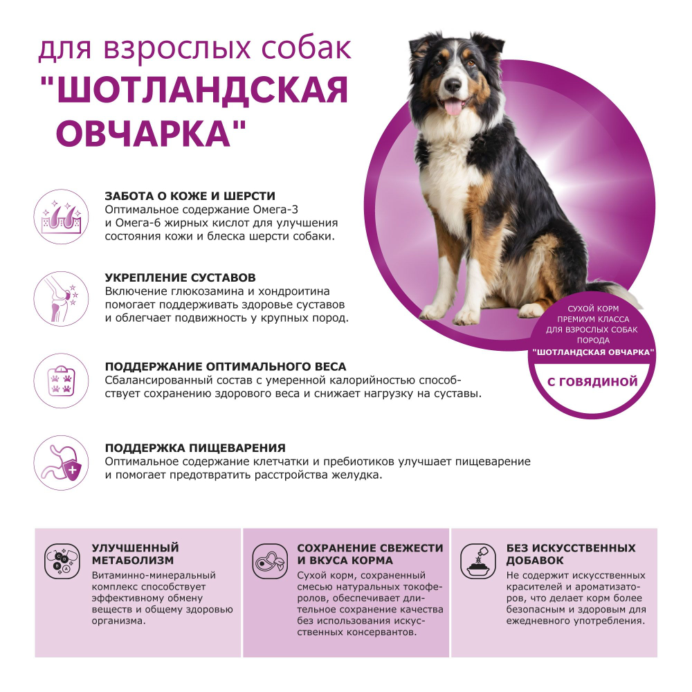 Корм сухой для взрослых собак породы Шотландская овчарка, премиум полнорационный комплекс, с говядиной, 2,5 кг, QUATTRO