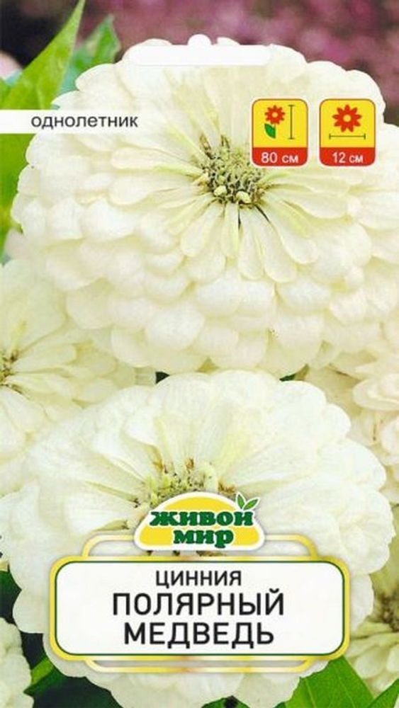 Цинния &quot;Пoляpный мeдвeдь&quot; 1г., Польша.