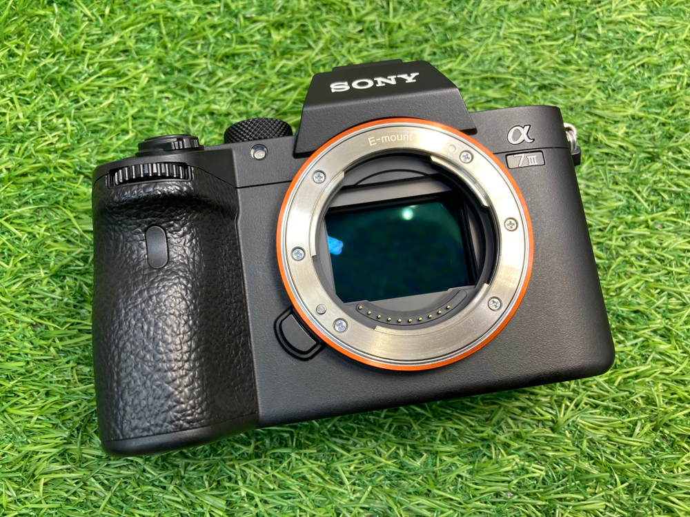 Sony A7 III 25 кадров